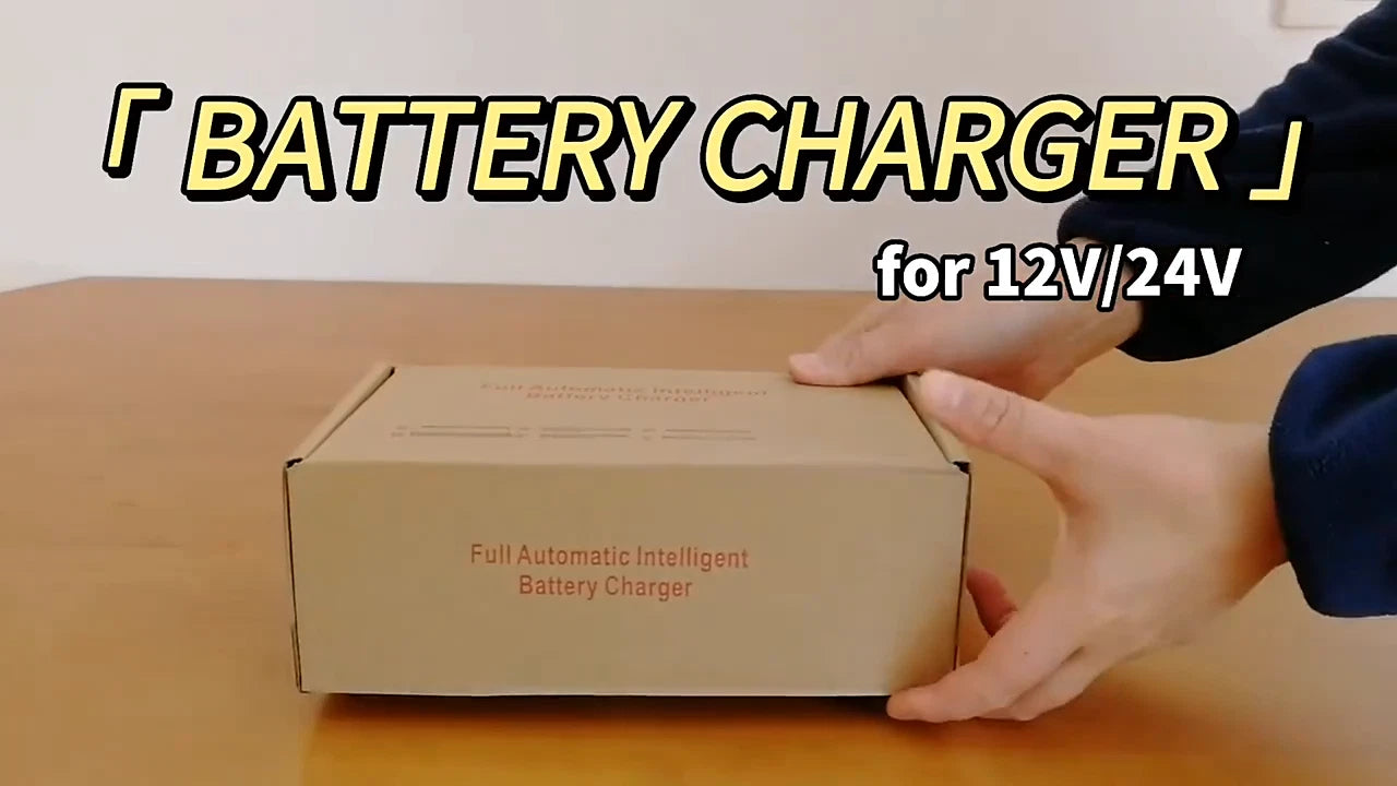 Maintenance Free Battery Charger 12V/24V 10A 140W Output For Electric Car Pro