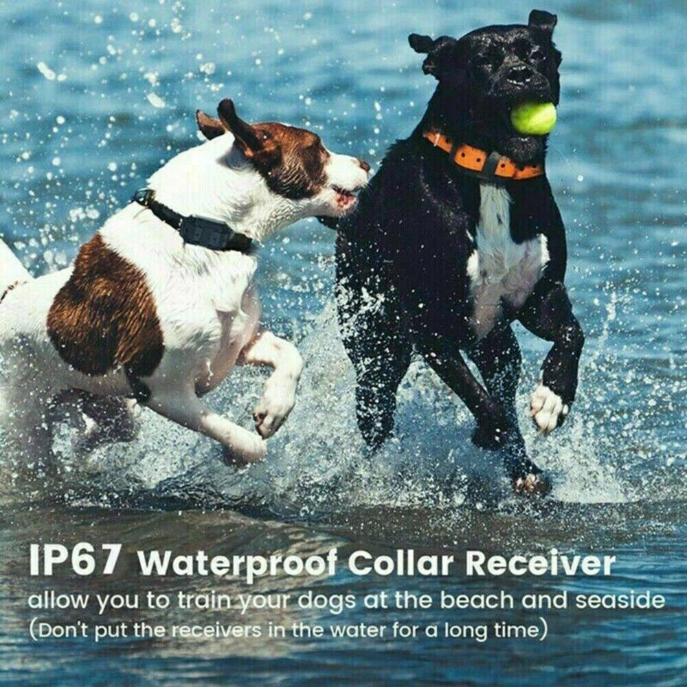 Dog Pet Training Collar Rechargeable Waterproof Electric Shock Anti Bark R800m
