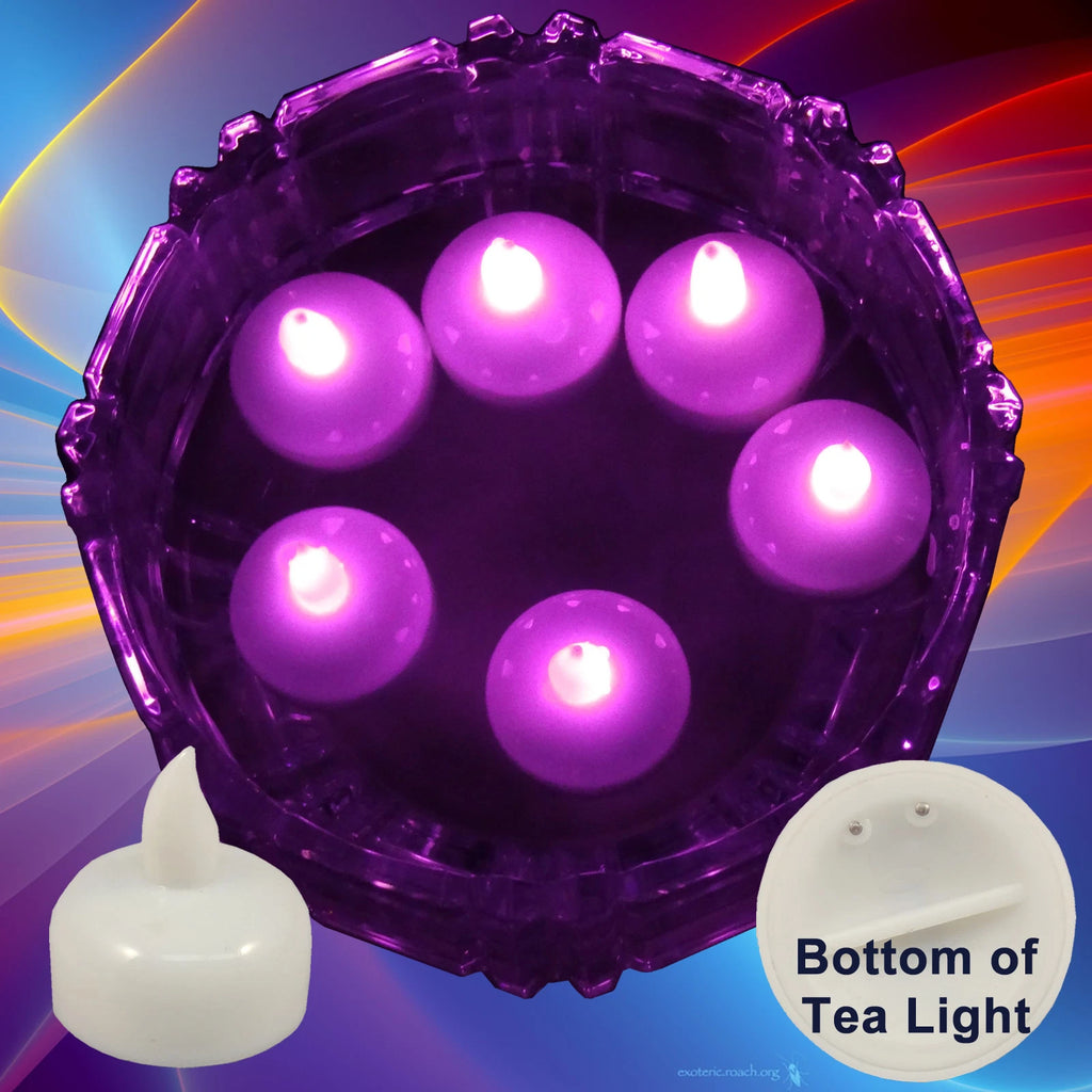 24 Flameless Floating LED tealight Candle Battery operated Pink tea lights NEW