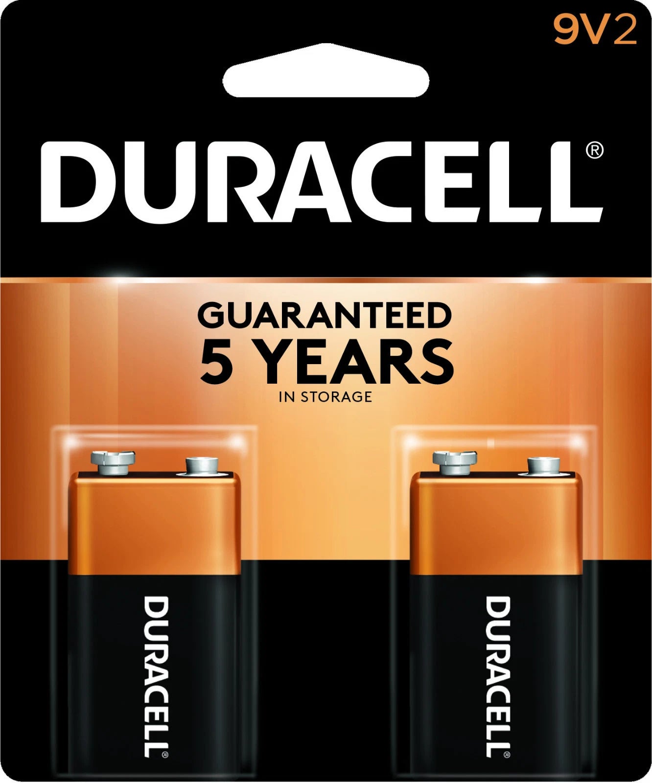 2 Pack 9V 9 V MN1604 Duracell CopperTop Battery Expires 2022