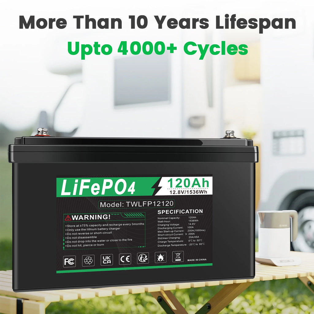 12V 120Ah LiFePO4 Lithium Battery BMS Deep Cycle 20A 24V Smart Battery Charger