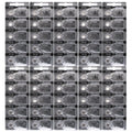 50x 321 Energizer Watch Batteries SR616SW Battery Cell (5 Batteries Per Pack)