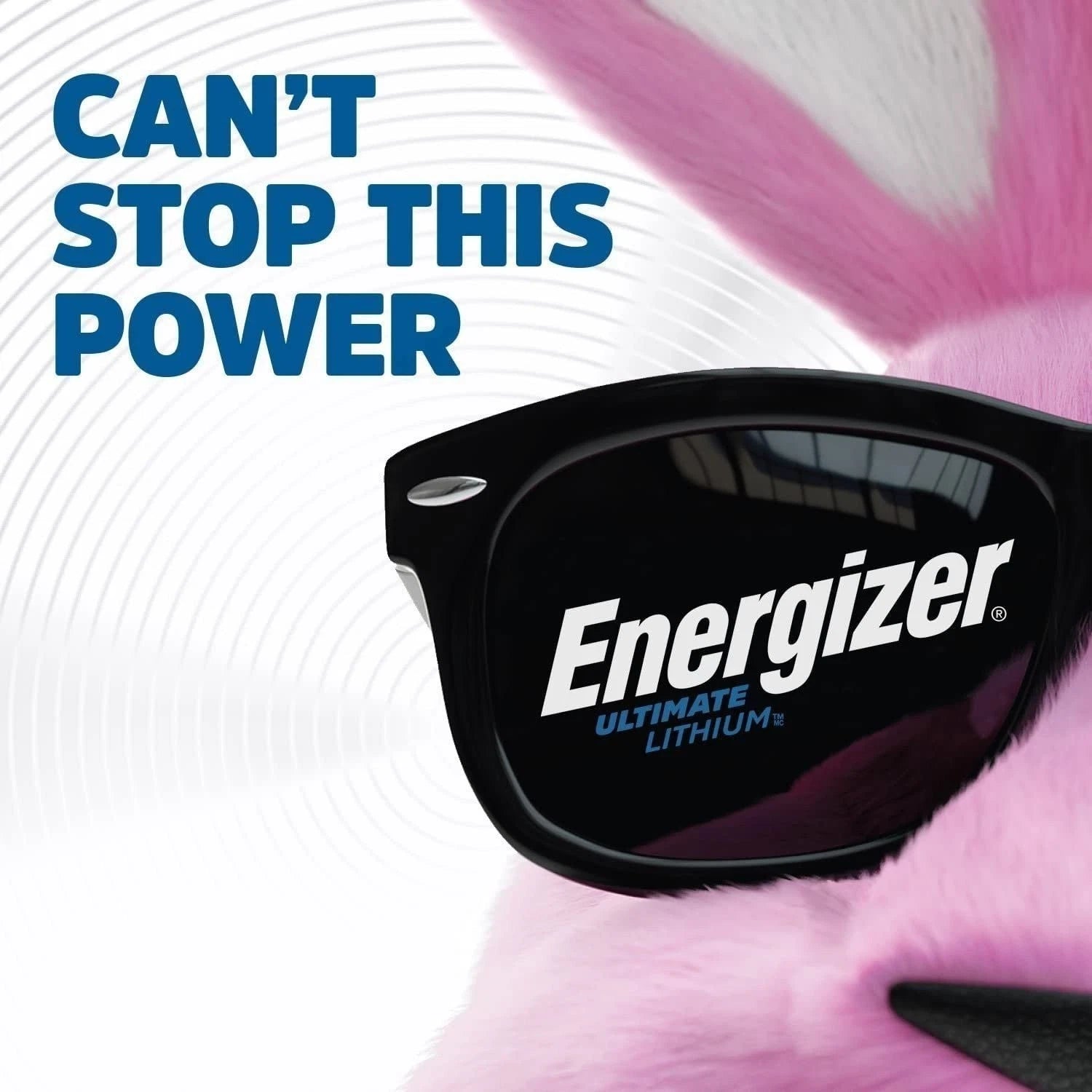 Energizer AA Lithium Batteries, World's Longest Lasting Double A Battery,...