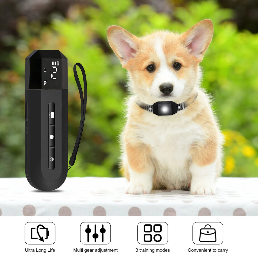 1650 FT Remote Dog Training Shock Collar Waterproof for Small Medium Large Dogs