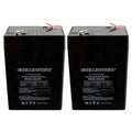 Exell 2 Pack - 6V 4.5Ah PS-640, PS640F1, UB645 Replacement SLA Battery NEW