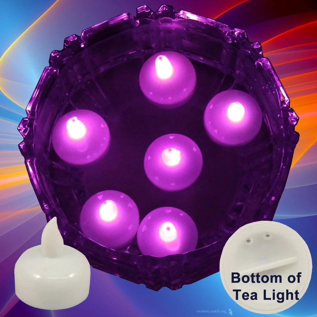24 Flameless Floating LED tealight Candle Battery operated Pink tea lights NEW