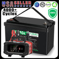 12V 120Ah LiFePO4 Lithium Battery BMS Deep Cycle 20A 24V Smart Battery Charger