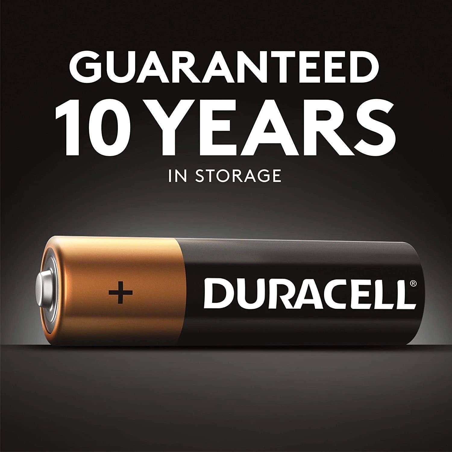 Duracell - CopperTop AA Alkaline Batteries - Long Lasting, All-Purpose Double...