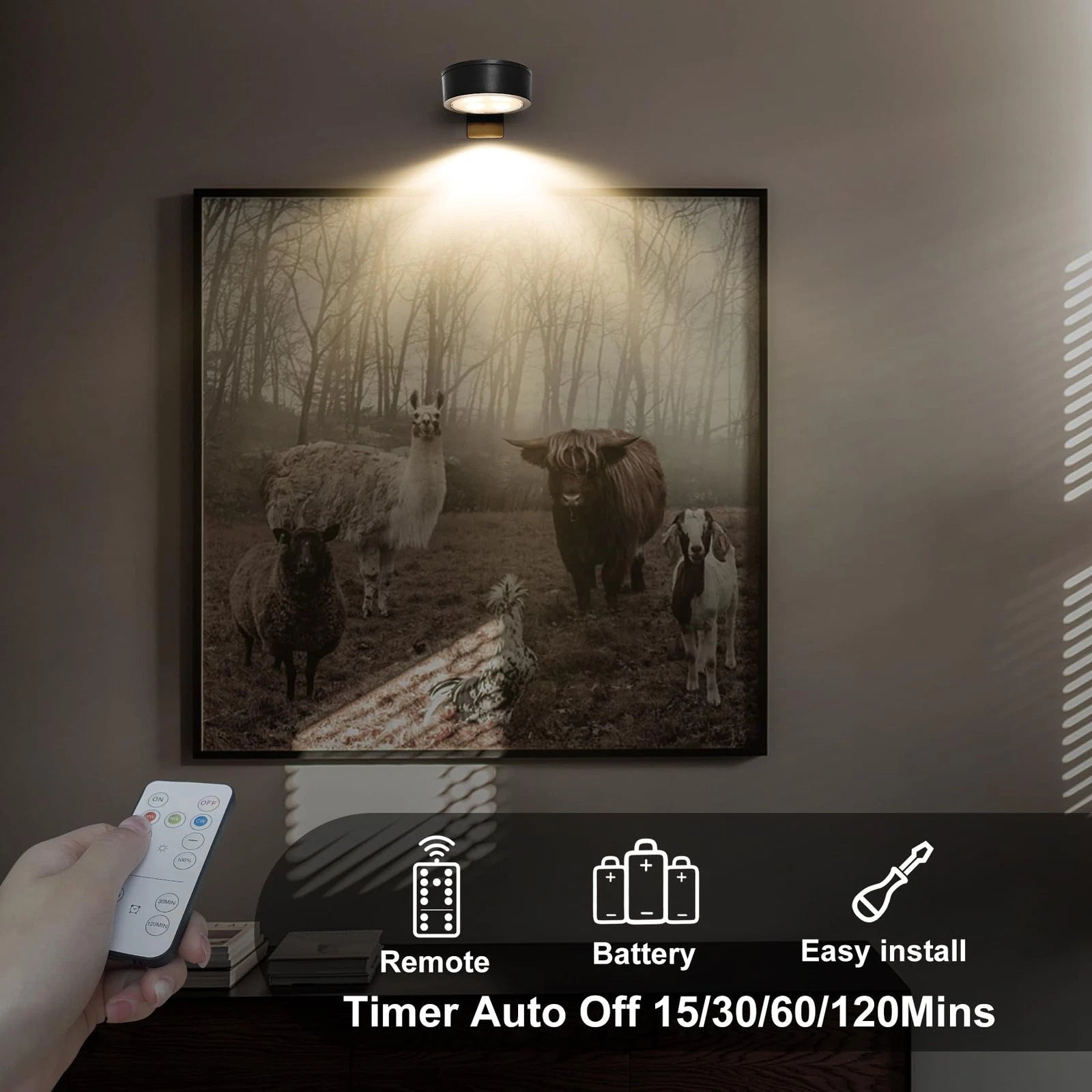 6-Pack Battery Operated Picture Light 6 Pack | Operated, Black