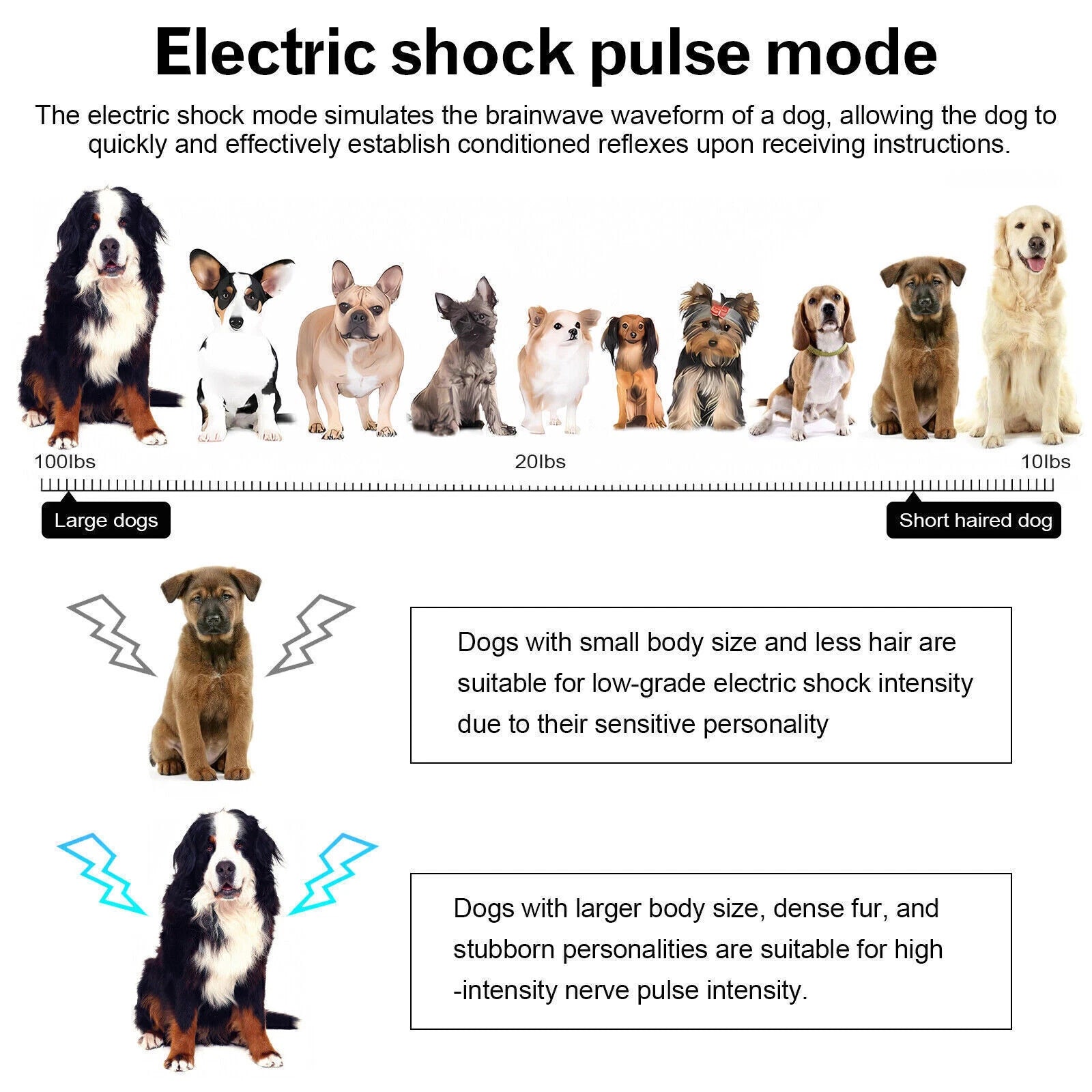 Electric Dog Training Collar All Size Dogs Bark Collar Pet With Remote Control