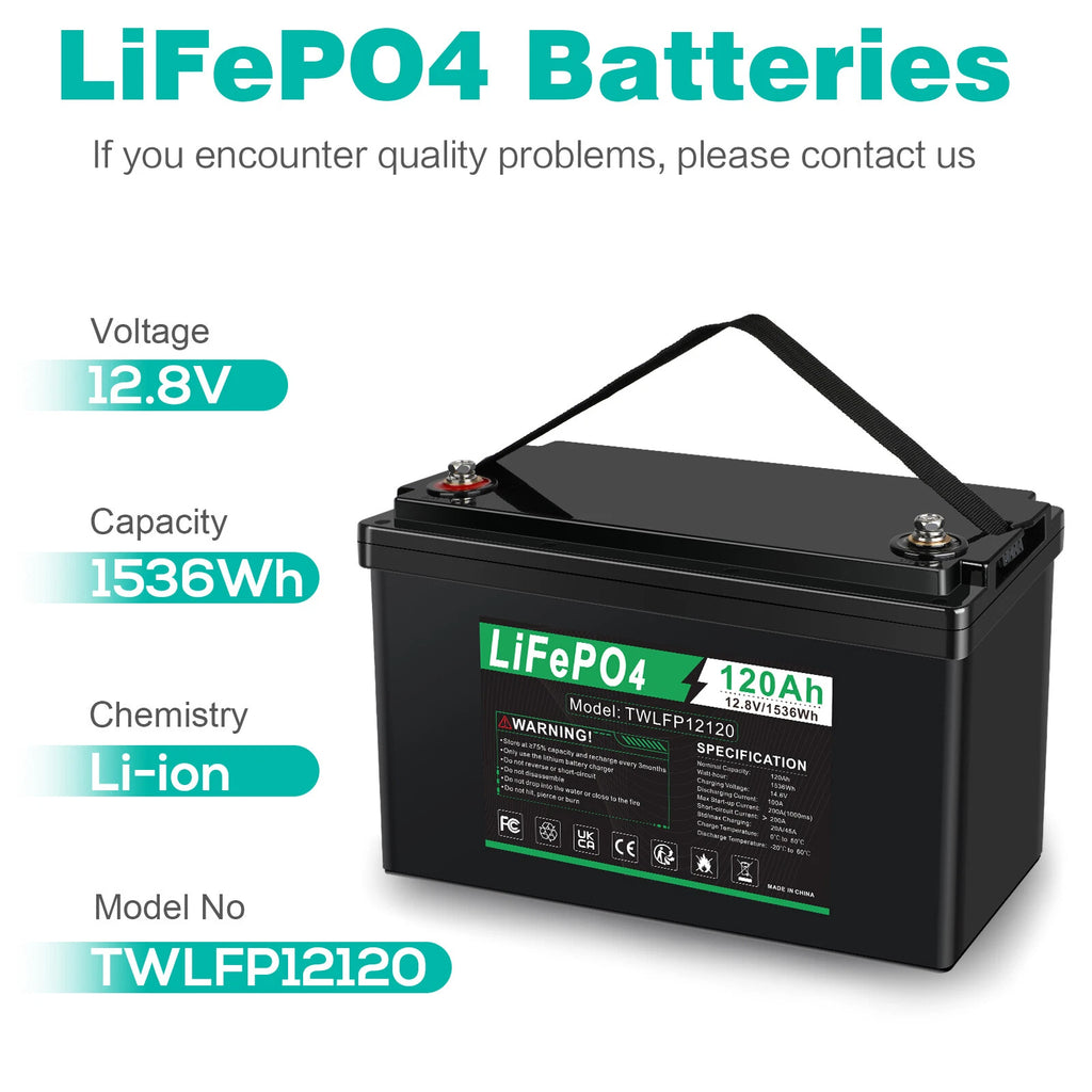 12V 120Ah LiFePO4 Lithium Battery BMS Deep Cycle 20A 24V Smart Battery Charger