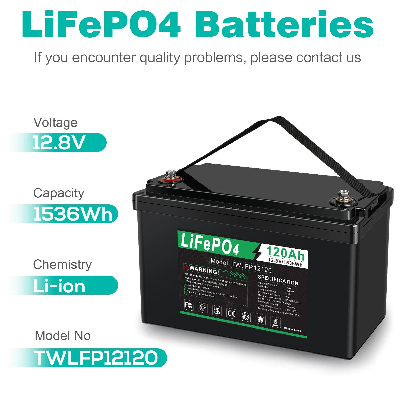 12V 120Ah LiFePO4 Lithium Battery BMS Deep Cycle 20A 24V Smart Battery Charger