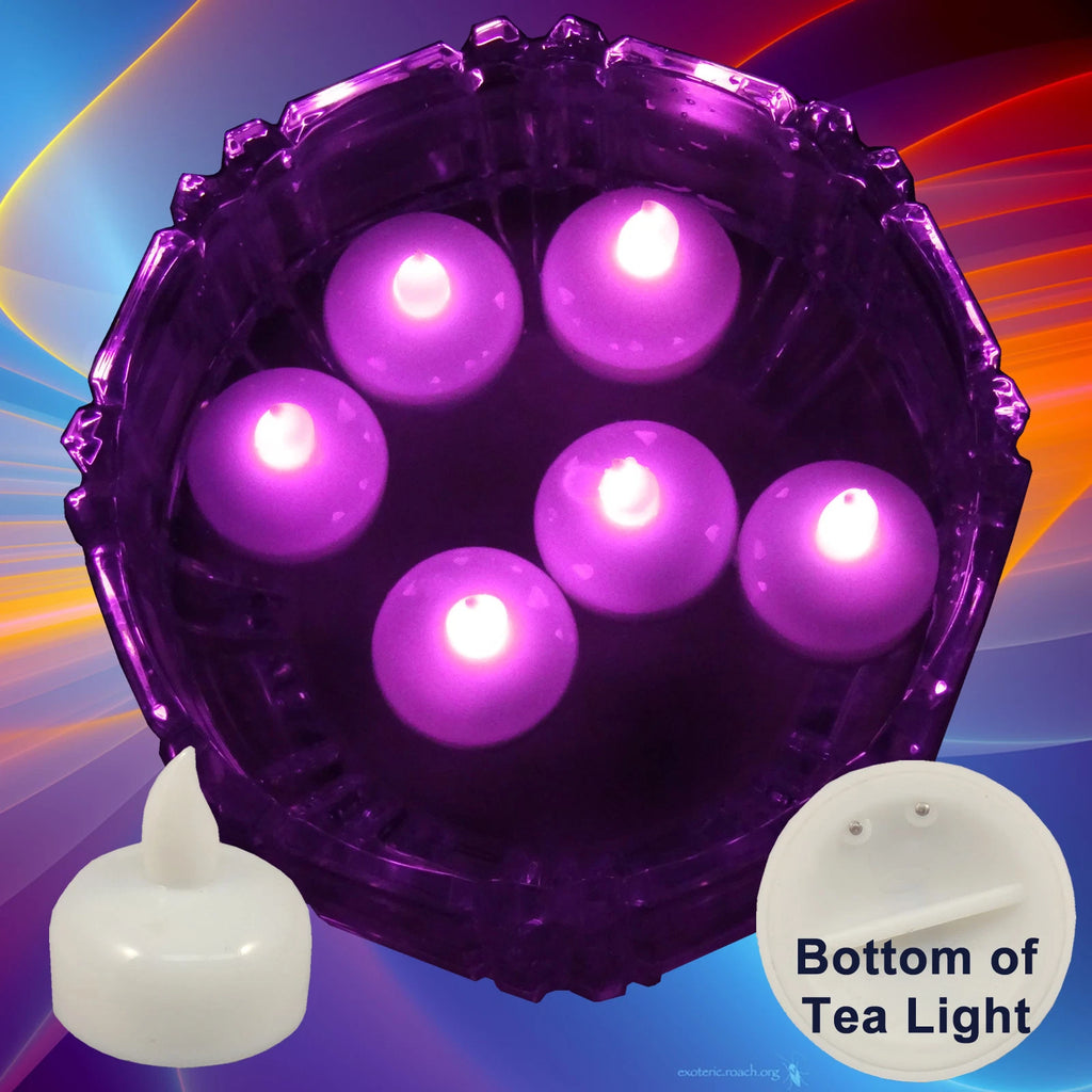 24 Flameless Floating LED tealight Candle Battery operated Pink tea lights NEW
