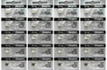 317 Energizer Watch Batteries SR516SW SR516 0% HG Pack Of 20 Brand New