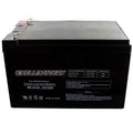 Exell 12V 12Ah SLA Battery Rechargeable AGM Compatible With UB12120, D5744