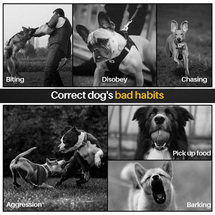 800M Anti Bark Electric Shock Pet Training E-Collar 1/2/3 Dogs Remote Control